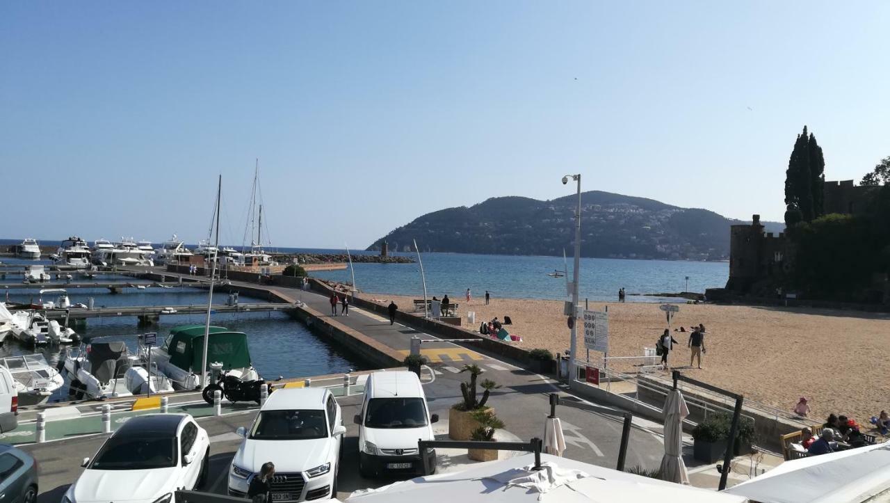 Home Tranquille Dans La Cite Du Mimosa - 2 Etoiles - Axelle Loc'Appart Mandelieu 外观 照片